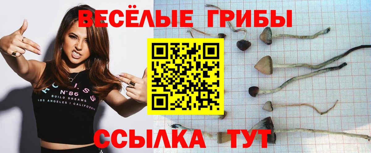 Псилоцибиновые грибы прущие грибы Коммунар