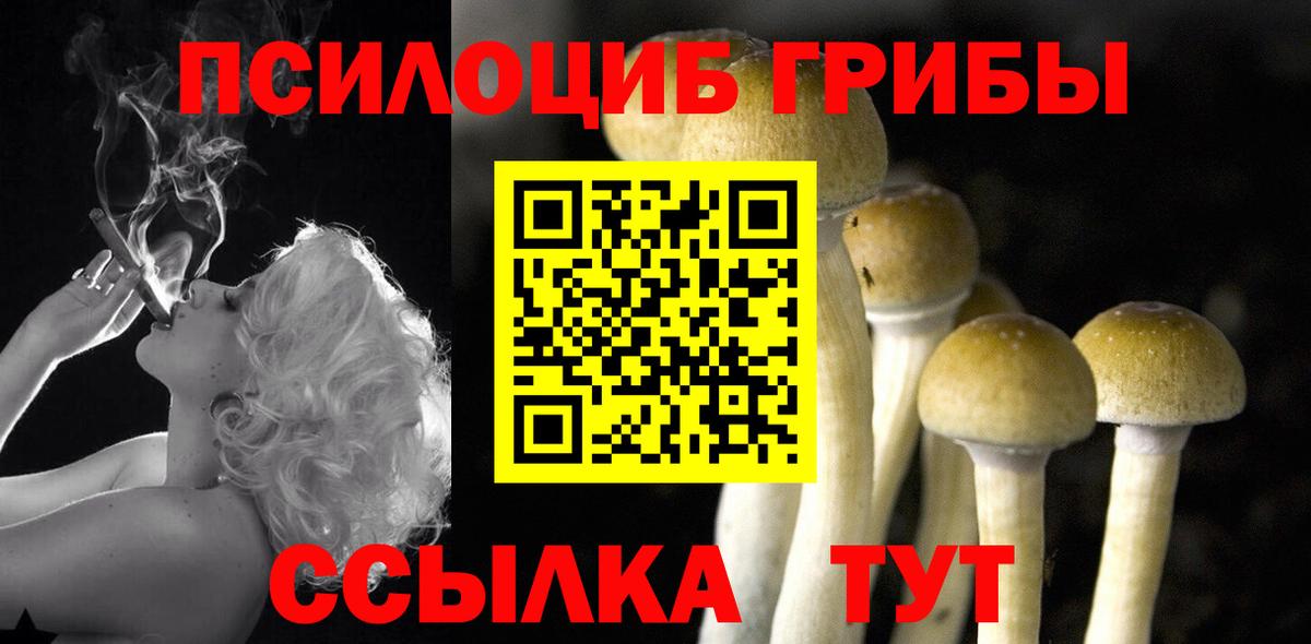 Псилоцибиновые грибы Magic Shrooms  Вход с VPN  Коммунар 