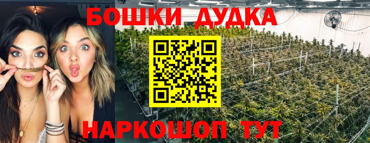 Конопля конопля Коммунар